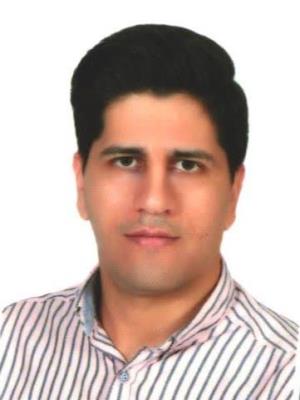 مهدی سرداری فیروزآبادی