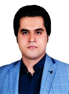هادی محمدی مقدم