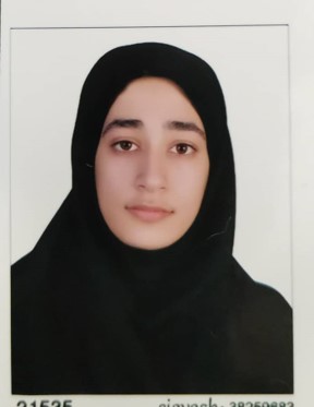 مریم ابراهیمی